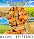 A Creative Geometric Collage Showcasing the Journey from Grain to Bread with Hexagonal Panes of Wheat Fields and Freshly Baked Goods. 130711803