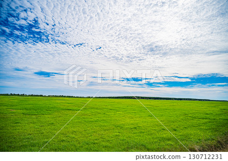 北海道江須線的筆直道路和廣闊風景 130712231