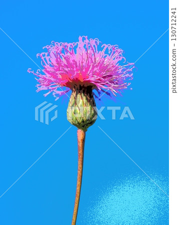 藍天下的田村（afr20250906161136） 130712241