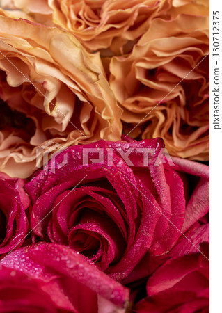 beautiful orange roses in a large bouquet lying on top of each other, several red and orange fresh roses for arranging bouquets beautiful orange roses in a large bouquet lying on top of each other, several red and orange fresh roses for arranging bouquets 130712375