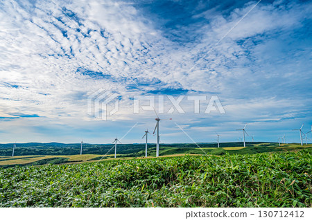北海道宗谷丘陵「白色之路」的壯麗景色 130712412
