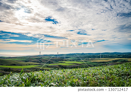 Spectacular views of the "White Road" in the Soya Hills of Hokkaido 130712417