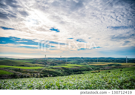 北海道宗谷丘陵「白色之路」的壯麗景色 130712419