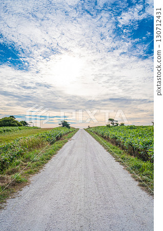 北海道宗谷丘陵「白色之路」的壯麗景色 130712431