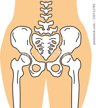 hip bones 130712765