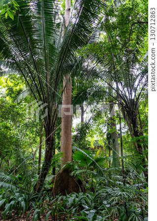 Belem, Brazil - Dec 07, 2024: Museum Emilio Goeldi at Belem, Brazil. Research Institute with Fauna and Flora from Amazon 130712863