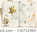 A detailed infographic showcases various botanical illustrations and notes about plants in an old-style layout, highlighting their characteristics and uses in an artistic presentation. 130712960