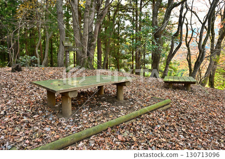 Tanzawa's Kawagoishiyama Rest Area at the Former Tsuchiyama Pass 130713096