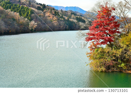 神奈川縣清川村的秋天宮瀨湖,紅葉、湖泊和山脈 神奈川縣清川村的秋天宮瀨湖,紅葉、湖泊和山脈 130713101