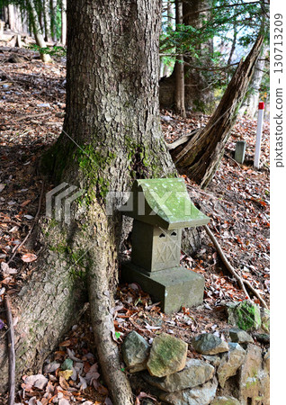 丹澤的佛陀山，秋天的山路、冷杉和神社 130713209