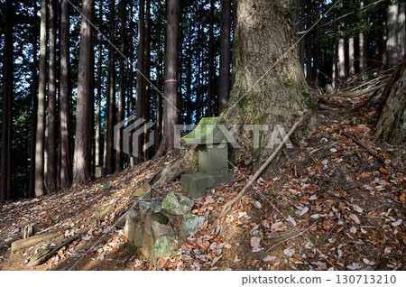 丹澤的佛陀山，秋天的山路、冷杉和神社 130713210