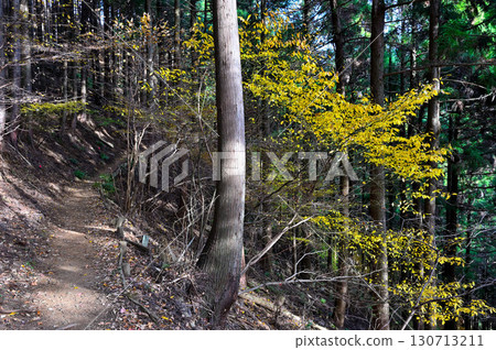 丹澤佛陀山：山路的紅葉、黃色的黑文字 130713211