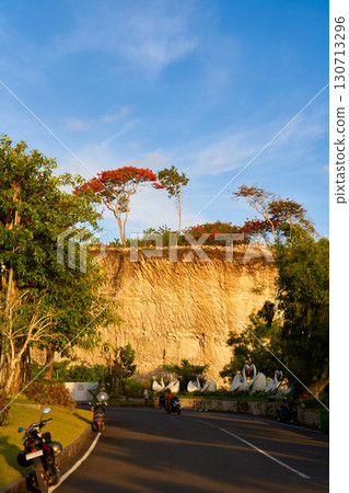 A tree with red flowers grows on the very top of the cliff. 130713296