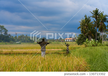 A sacral sacred monument temple for worshiping the gods and making offerings stands in a rice field. A sacral sacred monument temple for worshiping the gods and making offerings stands in a rice field. 130713302