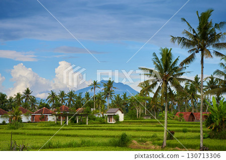 Panorama of Mount Agung and rice fields on the island of Bali. View of the mountain against a background of palm trees and a cornfield. Panorama of Agung volcano covered with clouds on a sunny day. 130713306