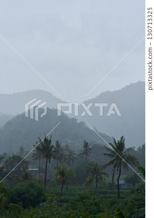 A tropical rainstorm in a rice field with cascading mountains and palm trees. 130713325