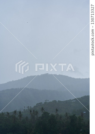 A tropical rainstorm in a rice field with cascading mountains and palm trees. 130713327