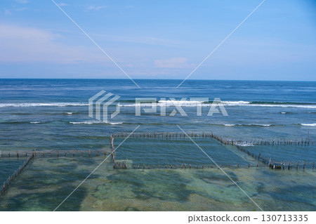 A local seafood farm in the ocean. A net fence for mollusk farming near the shore. A local seafood farm in the ocean. A net fence for mollusk farming near the shore. 130713335