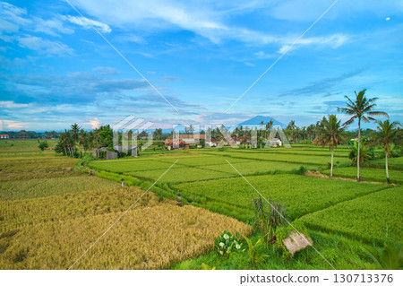 Aerial view of rice plantations and a hill village from a drone. Rice terraces on the island of Bali. 130713376