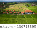 An aerial view of buildings in a rice field. A hotel complex with villas on a paddy plantation on the island of Bali. 130713395