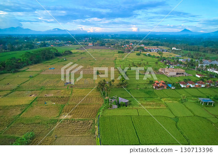Aerial view of rice plantations and a hill village from a drone. Rice terraces on the island of Bali. 130713396