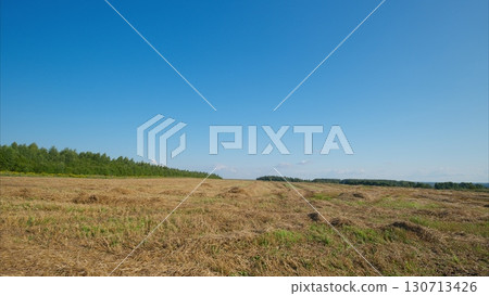 A Vast and Spacious Open Field Spreading Out Beautifully Under a Clear and Bright Blue Sky Overhead 130713426