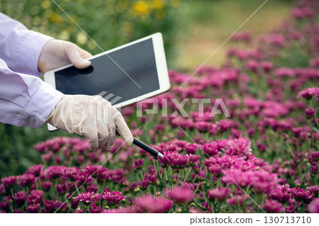 Close-up of researcher with gloves using tablet and stylus to examine pink flowers in field, symbolizing smart farming, agricultural technology, plant research, sustainable farming, and modern Close-up of researcher with gloves using tablet and stylus to examine pink flowers in field, symbolizing smart farming, agricultural technology, plant research, sustainable farming, and modern 130713710