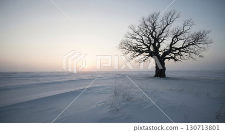 Silhouette Tree in Winter Landscape with Snow Covered Field and Pale Sky at Sunrise 130713801