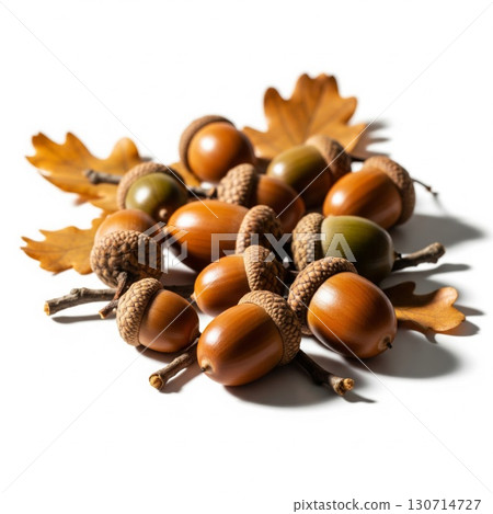 Pile of Brown Acorns with Branches and Leaves on White Background 130714727