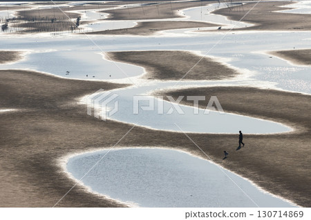 黃昏的灘塗(大分縣豐後高田市真玉海岸) 黃昏的灘塗(大分縣豐後高田市真玉海岸) 130714869