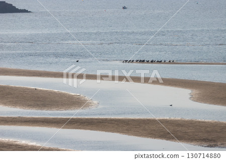 黃昏的灘塗（大分縣豐後高田市真玉海岸） 130714880