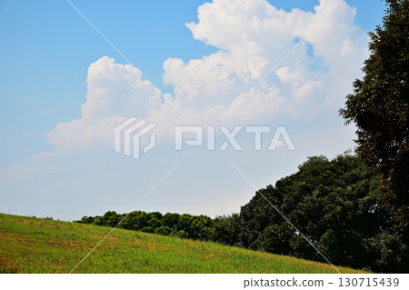 Summer blue sky and wide meadow scenery Summer blue sky and wide meadow scenery 130715439