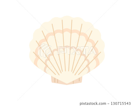 白殼扇貝的插圖 130715543