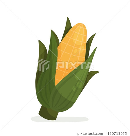 Ear of corn with green husk 130715955