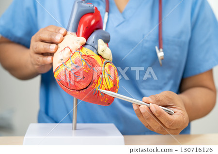 Cardiovascular disease CVD, Asian doctor holding human anatomy model for learn and treat heart disease. 130716126