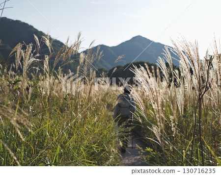 Hiking along the silver grass path (20250906163332) 130716235