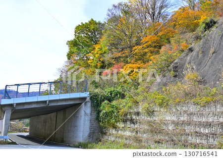 Autumn foliage in the mountains, autumn scenery, snow shelter, view from National Route 353, Tokamachi City, Niigata Prefecture 130716541