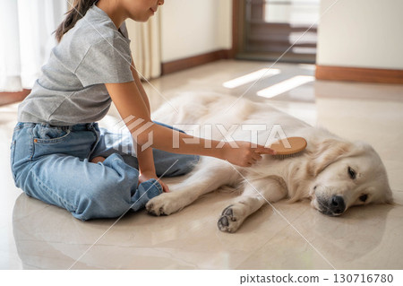 Golden retriever being gently brushed by owner Golden retriever being gently brushed by owner 130716780
