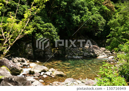 Uotobikei Valley [Kihoku Town, Kitamuro District, Mie Prefecture] 130716949
