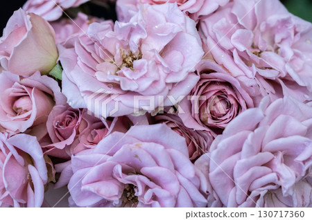 Full frame shot of a bunch of Montmartre rose. The Montmartre rose is a vintage-inspired shrub rose known for its unique purple-brown-gray and pink hues, and thick, long-lasting petals. 130717360