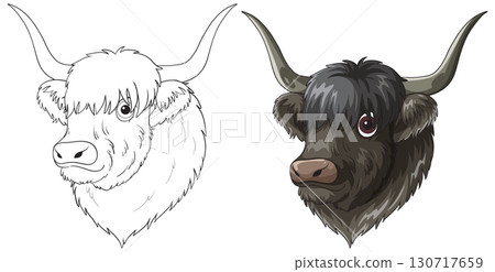 Highland Cow Head Vector Illustration in Two Styles Highland Cow Head Vector Illustration in Two Styles 130717659