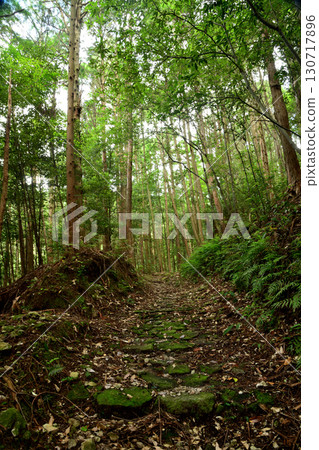 Fuden Pass Road (Motomiya Road, Cobblestone Road) [Mihama Town, Mie Prefecture and Kiwa Town, Kumano City] 130717896