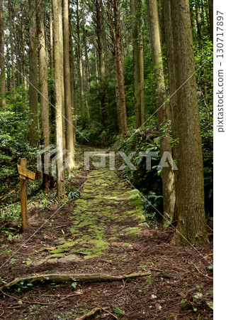 普傳嶺道路（本宮道路、鵝卵石道路）【三重縣美濱町、熊野市吉和町】 130717897