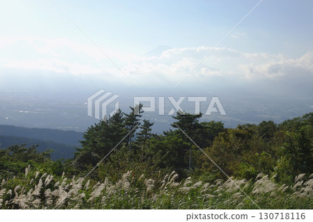 足柄城遺址的芒草和雲霧繚繞的富士山 / 靜岡縣小山町,9月 足柄城遺址的芒草和雲霧繚繞的富士山 / 靜岡縣小山町,9月 130718116
