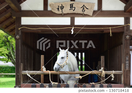 上賀茂神社(加茂分光雷神社)的神馬棚裡的神馬 上賀茂神社(加茂分光雷神社)的神馬棚裡的神馬 130718418