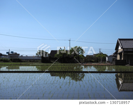 Rural scenery along the Tosan Line (spring blue sky and the Kocho Plain) 130718957