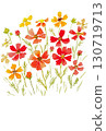 Autumn watercolor cosmos 130719713