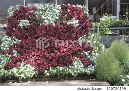 大船花卉中心入口附近的紅色花朵標誌 130720199