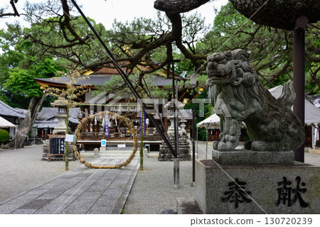 Tachiki Shrine: Summer purification ceremony (passing through the grass ring) 130720239