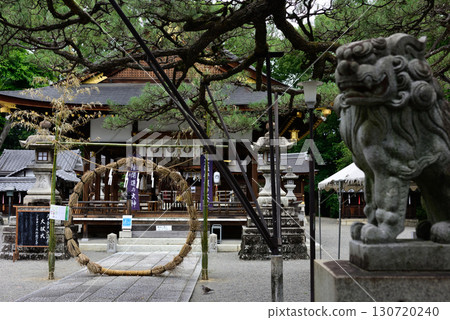 Tachiki Shrine: Summer purification ceremony (passing through the grass ring) 130720240